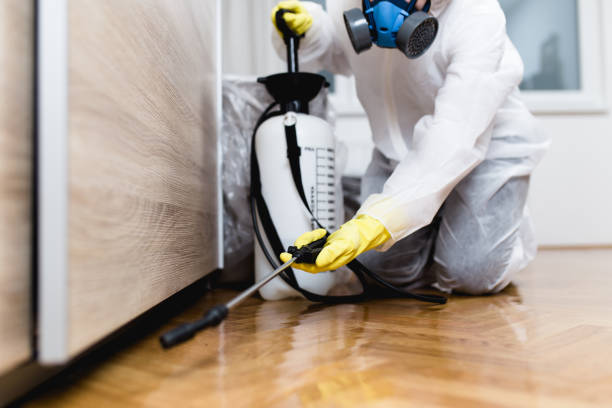Best Flea Control Services  in Redlands, CA