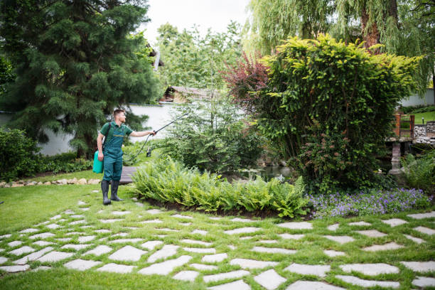 Best Commercial Pest Control Services  in Redlands, CA