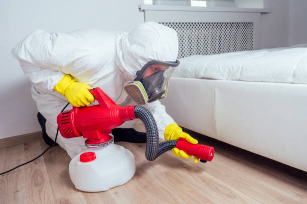 Best Local Pest Control Services  in Redlands, CA