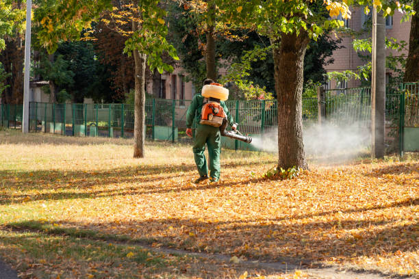 Best Best Pest Control Companies  in Redlands, CA