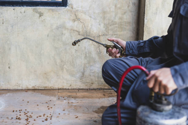 Best Best Pest Control Companies  in Redlands, CA